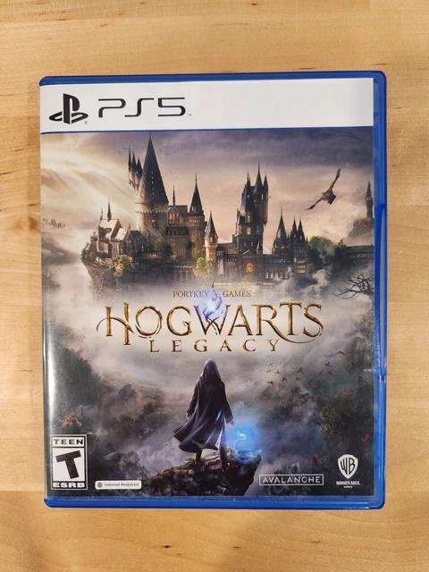 игра hogwarts legacy ps5