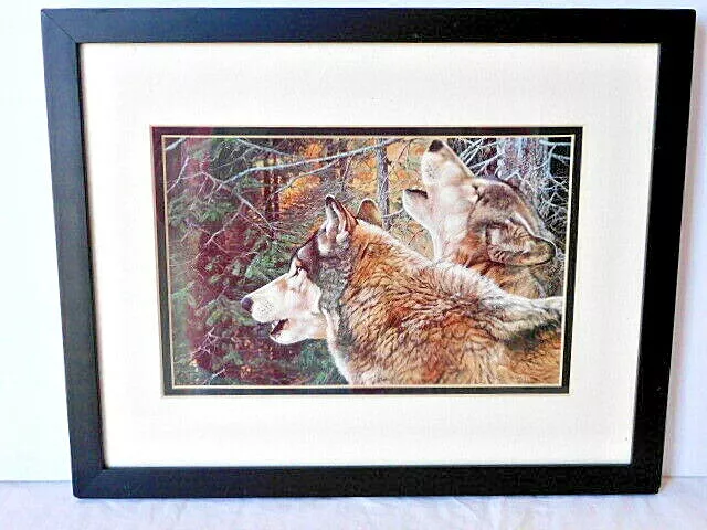 Wolves in Forest Framed Art Print, 11 X 14 in. NEW