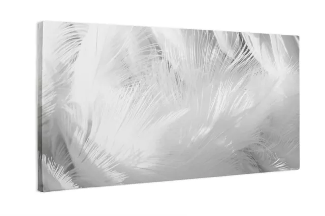 Impression sur toile avec gros plan de plumes blanches 100x50 cm