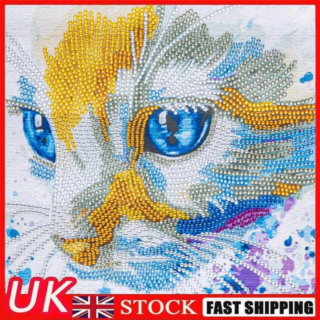 Special Shaped Crystal Drill Picture DIY Cat 5D Diamond Painting Craft Poster