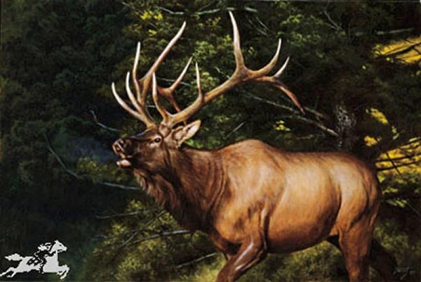 Edward Aldrich Call To The Rivals - Bull Elk