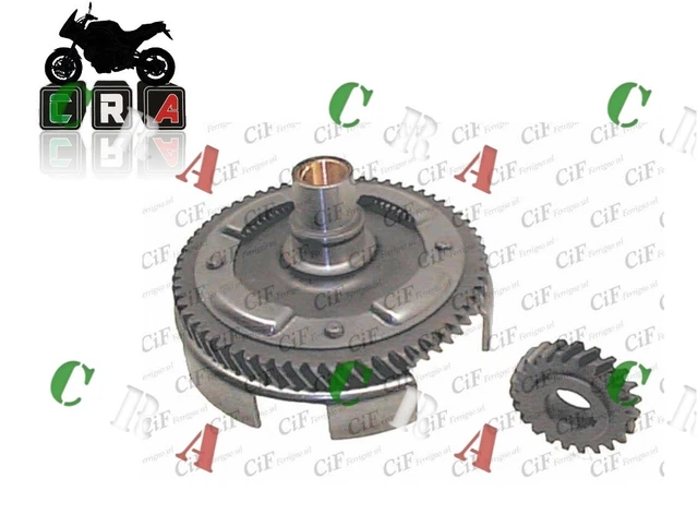 carte grise per tutto vespa