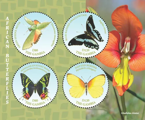 Gambia 2018 - Butterflies, Moth, Flower - Sheet of 4 Stamps - Scott #3823 - MNH