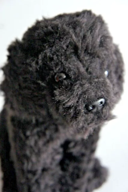 Black Short Haired Poodle, personalised or not 3 options to choose from