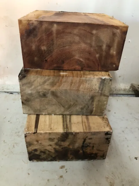 Ambrosia Maple/ River Birch bowl  Blank/platter Blank/turning Wood Lot of 3