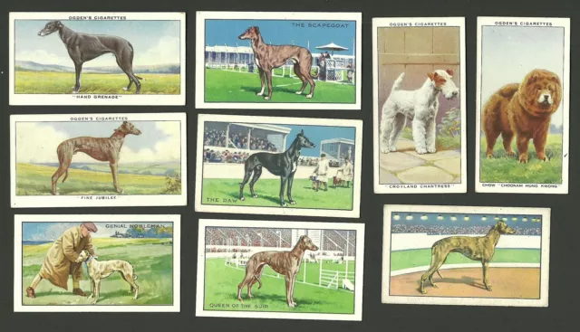 Dogs Champions Vintage Ogdens & Gallaher Cigarette Cards Lot of 9 BHOF