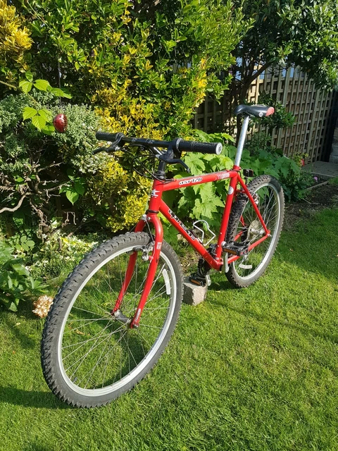 Mtb cheap alpinestars vintage