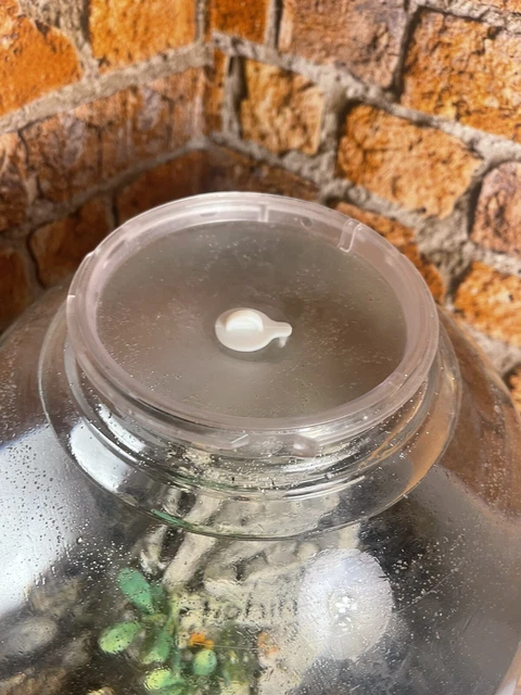 biorb halo 15 aquarium fish tank Fish Tank 7