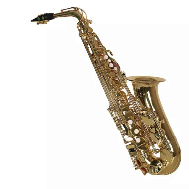 Alto Saxophone avec Étui World Catégorie Finition Embout Buccal Roseau Et