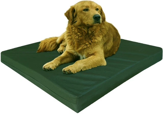Large Green Canvas Pet Dog Bed Orthopedic Waterproof Memory Foam 41x27x4 42"x28"