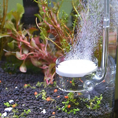 Co2 Glass Aquarium Supply Accessories Co2 Diffuser Co2 Drop Checker Co2 Bubble C