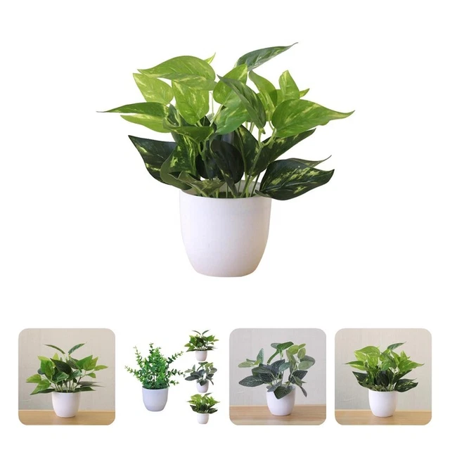 Bonsái en maceta decoración realista vívido sin decoloración bonsái artesanía