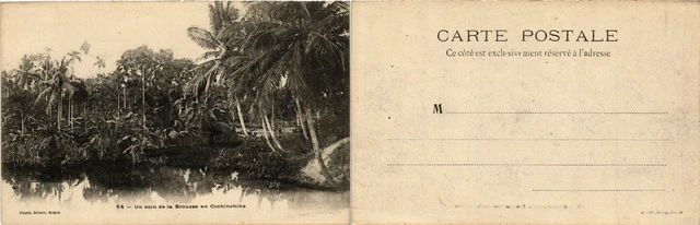 CPA AK VIETNAM Un coin de la Brousse en Cochinchine (427507)