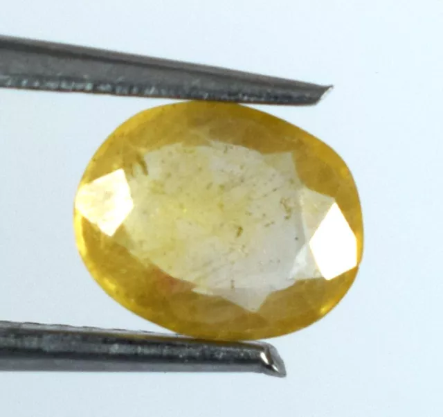 Noël Offre Naturel Ovale Jaune Saphir Pierre Précieuse 1.55 CT Certifié B77414