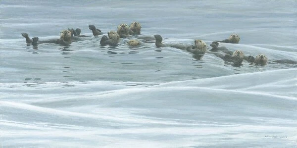Robert Bateman Raft of Otters Gicle on Canvas 20x40