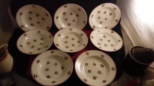 Service de 8 assiettes creuses en faience de Pexonne Christiane semis de roses