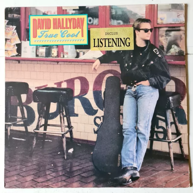 David Hallyday "True Cool", Vinyl 33t LP, 1988 TBE