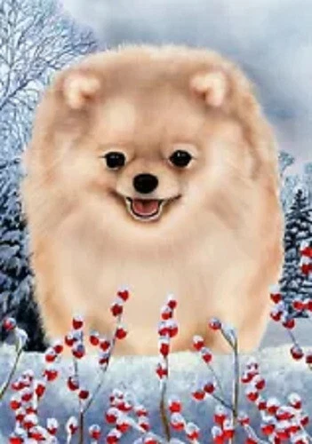 Winter House Flag - Cream Pomeranian 15434