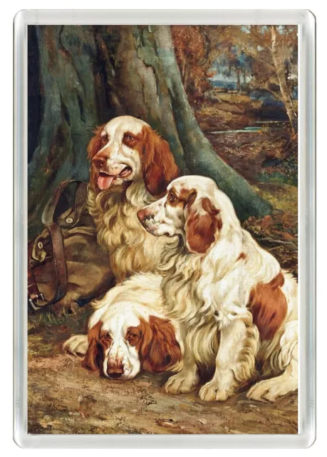Clumber Spaniel Dogs Beautiful Art Print Novelty Fridge Magnet  Great Gift