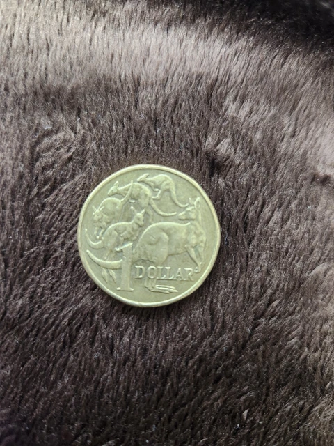 1995 Australian $1 One Dollar Coin - Mob Of Roos