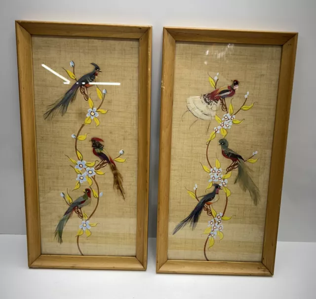 Pair Vintage Mexican Folk Art Feathercraft Bird Paintings In Wood Frames 16x8 2