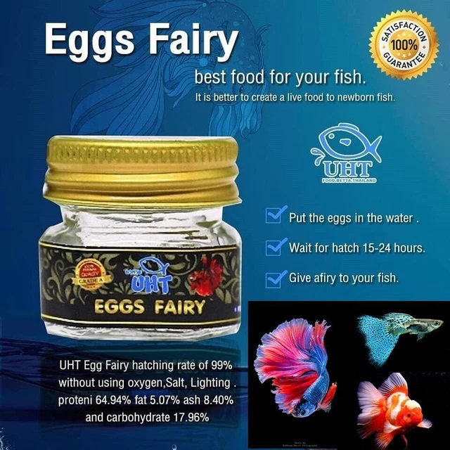Fairy Shrimp eggs Live feed Alternative for Betta Guppy Easy Hatch in FreshWater
