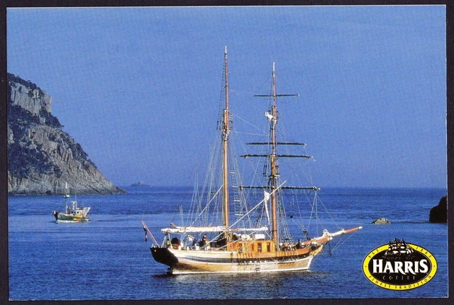 V02645B Australia Avant Card #2645B Harriss Coffee postcard