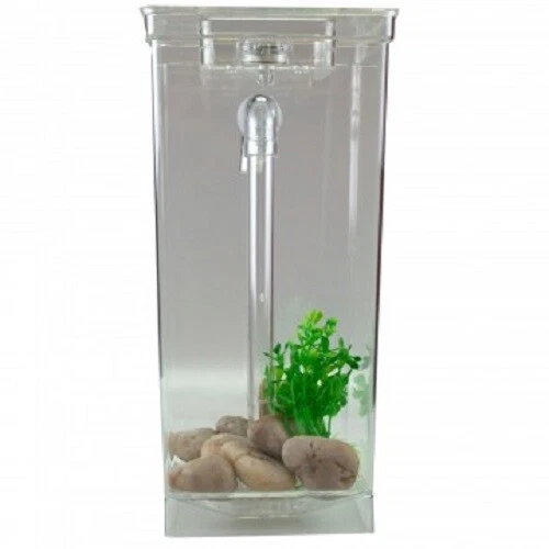 New My FUN Self FISH CLEANING TANK Small Aquarium As Seen on TV Kid Toy Gift 2