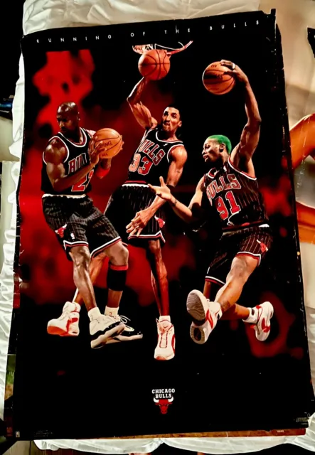 NBA Chicago Bulls Titlewave wall poster Jordan Pippen Rodman 90s basketball