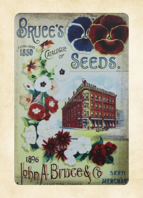 metal art sale Bruce's Established 1850 Catalogue Seed metal tin sign