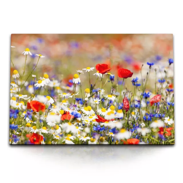 120x80cm Wandbild auf Leinwand Sommerwiese Blumenwiese Wildblumen Sommer