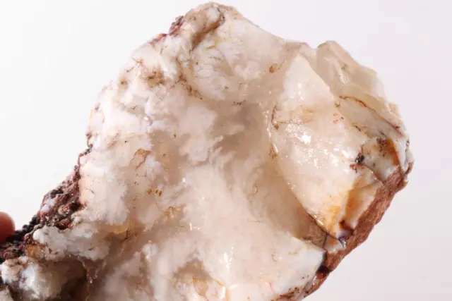 Stinking Water Plume Agate lapidary 12.4 oz. rough