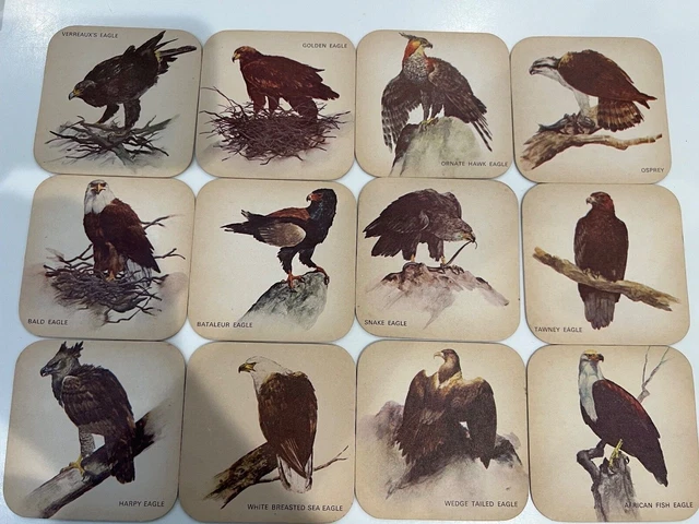 Full Set of Eagle Bitter (Charles Wells) Vintage Beer Coasters 1970s Birds