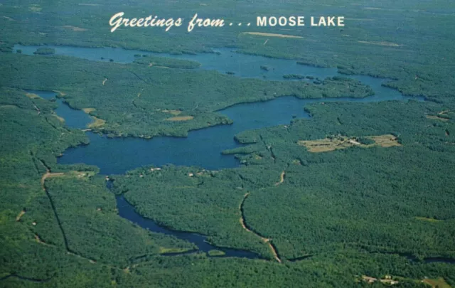 Hayward Wisconsin WI Aerial View Moose Lake Postcard