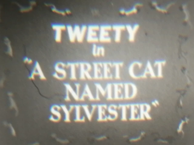 Super 8 Film Tweety in a Street Cat Named Sylvester - B/W no sound (RK55)