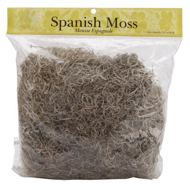 Panacea-Panacea Mosgo Español 8oz-Natural