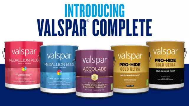 Valspar 1 Litre Primer-Sealer-Undercoat Water-Base White  Paint