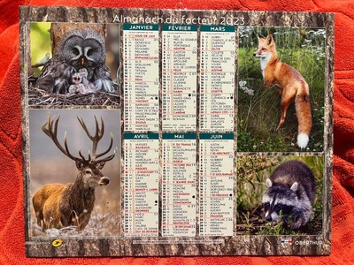 CALENDRIER ALMANACH DU Facteur La Poste 2023 Animaux sauvages sanglier