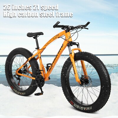 22 beach cruiser
