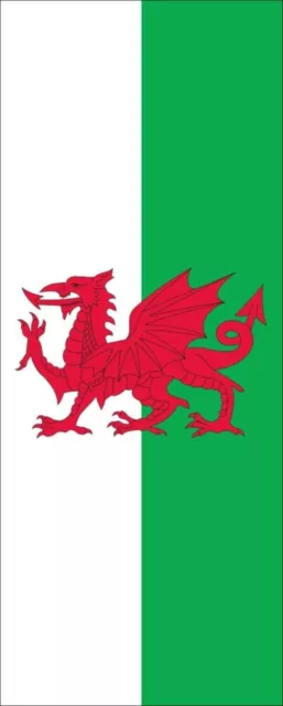 flaggenmeer®  Flagge Wales 110 g/m² Hochformat