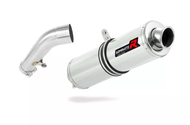 Silenziatore Marmitta DOMINATOR Rotondo BMW R1200R 06-09 + DB Assassino