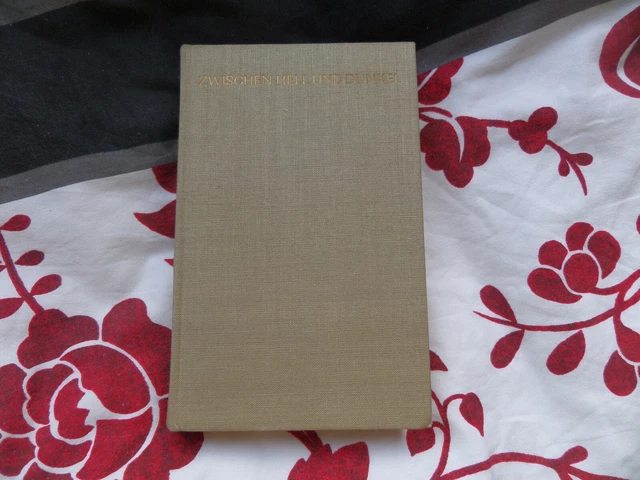 VALERIAN TORNIUS ZWISCHEN Hell und Dunkel Rembrandt Roman 1969 Insel ...