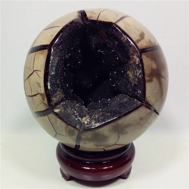4.8"4.6lb DRAGON SEPTARIAN Ball Geode Crystal Cluster Display Madagascar Y960