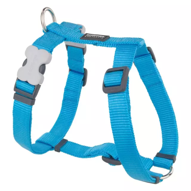 Classic Turquoise Harness 25mm XL (24-42" Neck, 28-44" Body)