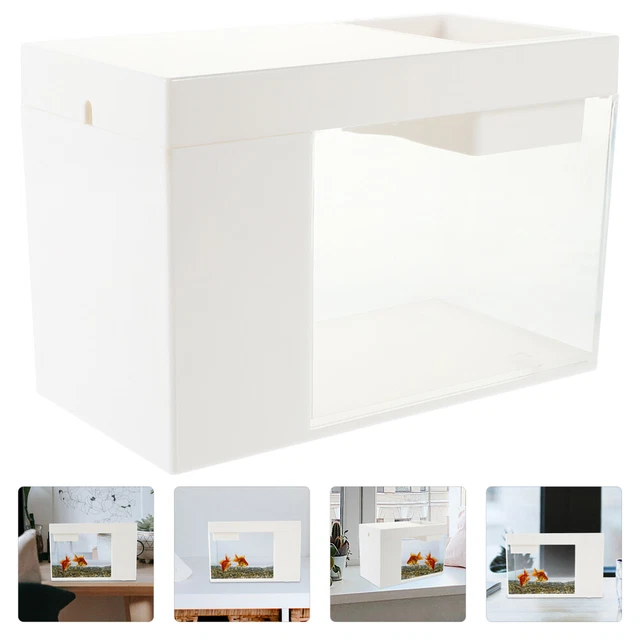 Acquario Da Parete In Acrilico - Vaso Appeso Per Pesci O Piante, Decorazione Casa - Foto 8