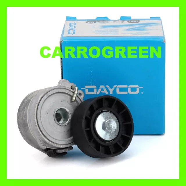 Galet tendeur Courroie Accessoire Dayco Citroen Berlingo C5 C8 Evasion  Hdi