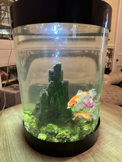 BIORB fish tank  Aquarium with LED Light  And 2 Goldfish
