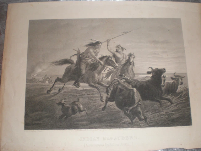 Engraving cir 1880 cows horses goat- accompany Appleton journal