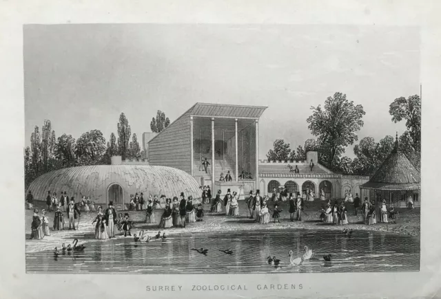 1851 Antique Print; Surrey Zoological Gardens, Newington, Surrey, London