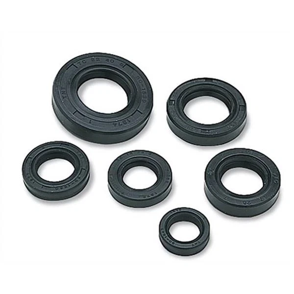Moose Oil Seal Set - 822251